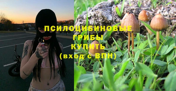 твердый Армянск