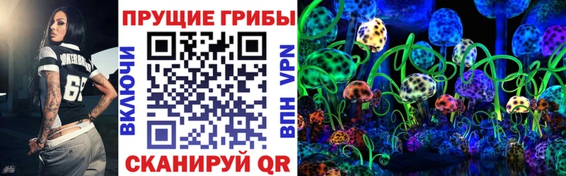 сайты даркнета Telegram  Алагир  Галлюциногенные грибы прущие грибы 